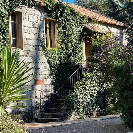 Chambres d'Hôtes Barraconu Porto Vecchio Exterior foto