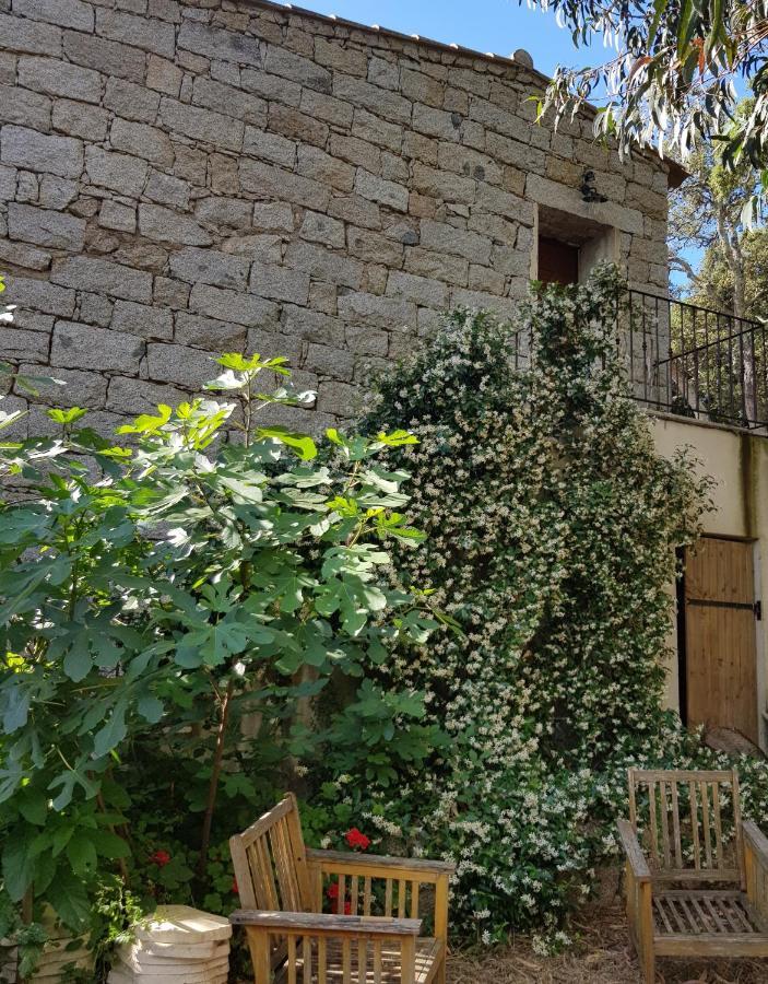Chambres d'Hôtes Barraconu Porto Vecchio Exterior foto