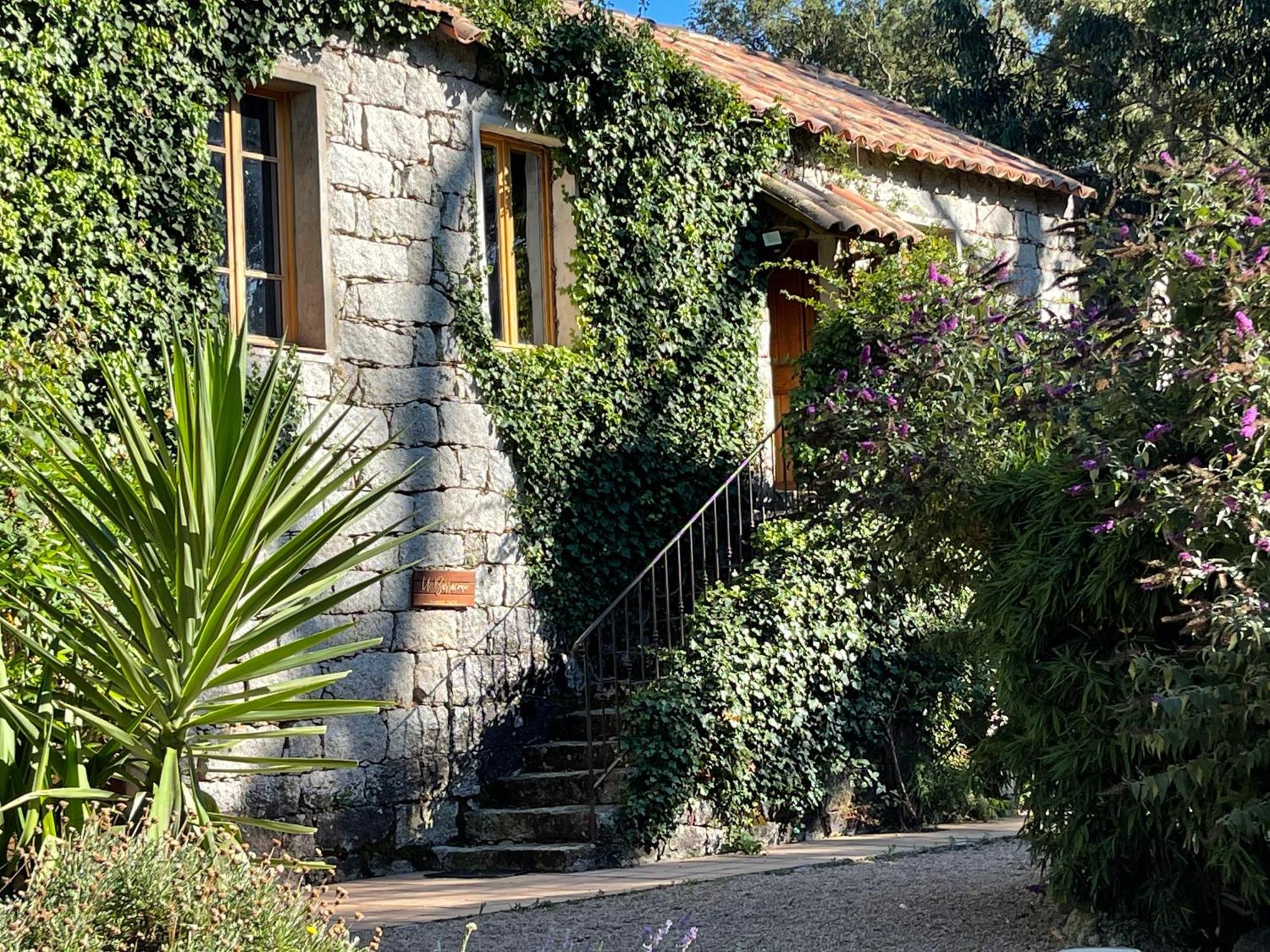 Chambres d'Hôtes Barraconu Porto Vecchio Exterior foto